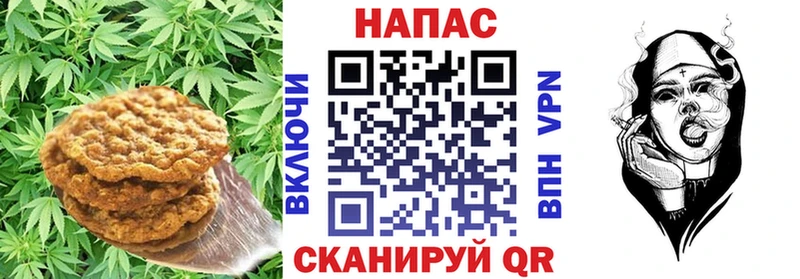 Купить закладки  Чегем  Печенье с ТГК марихуана 