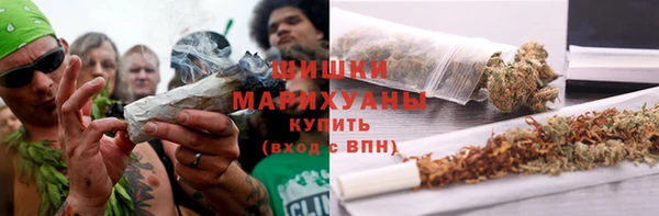 прущий лед Каменка