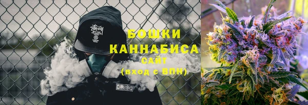прущий лед Каменка