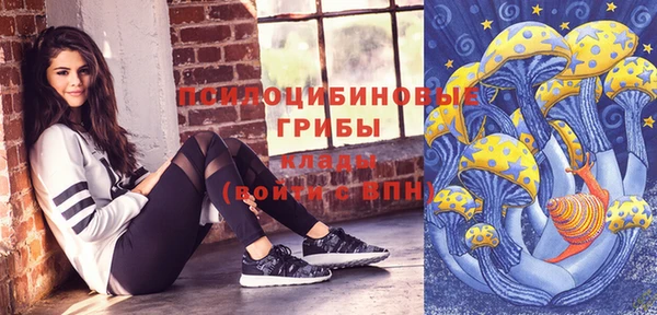 прущий лед Каменка